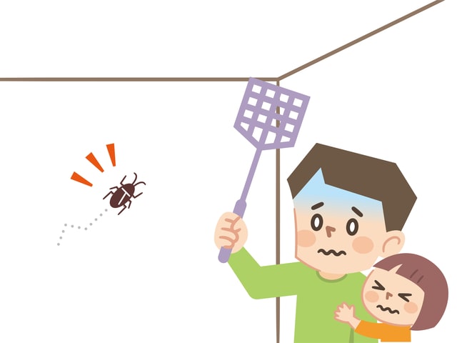 小さいゴキブリが一匹だけでも危険？　家を守るための予防策